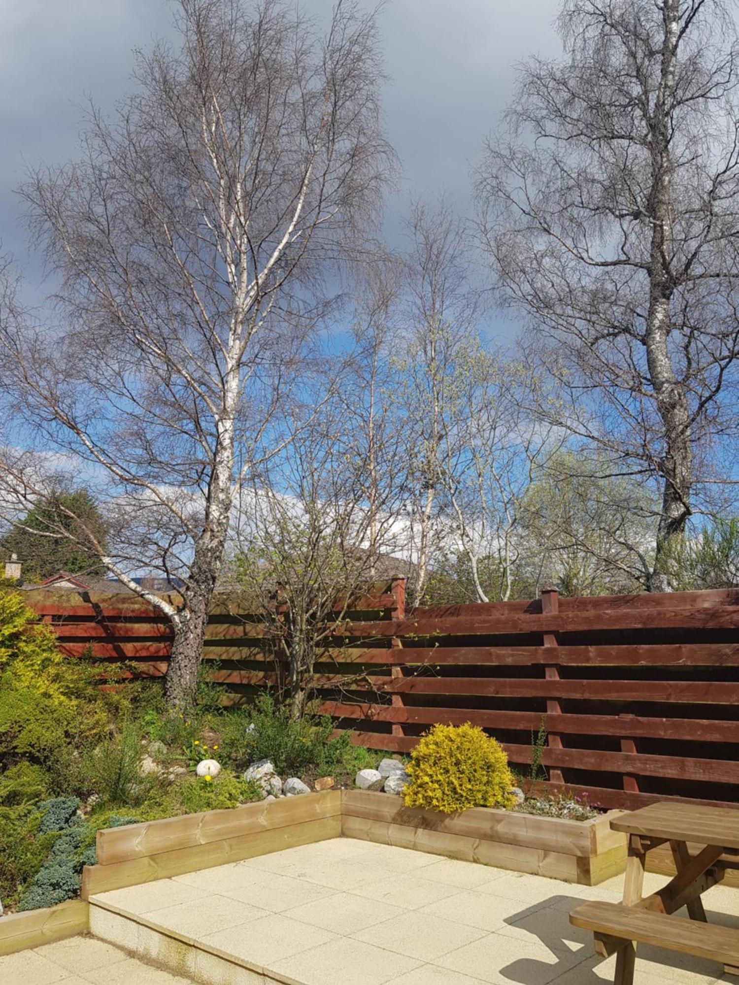 Orange Squirrel Lodge Aviemore Eksteriør bilde